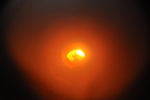 biomass glow